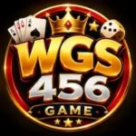 WGS456 Game