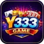 Y333 Game